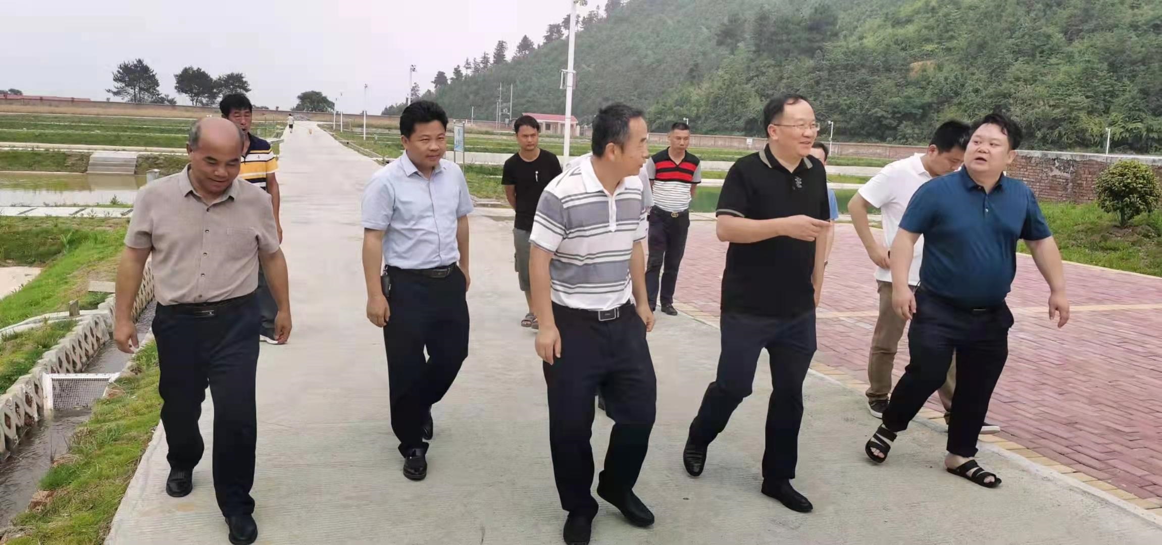 1624621936379747.png 1624621936379747.png