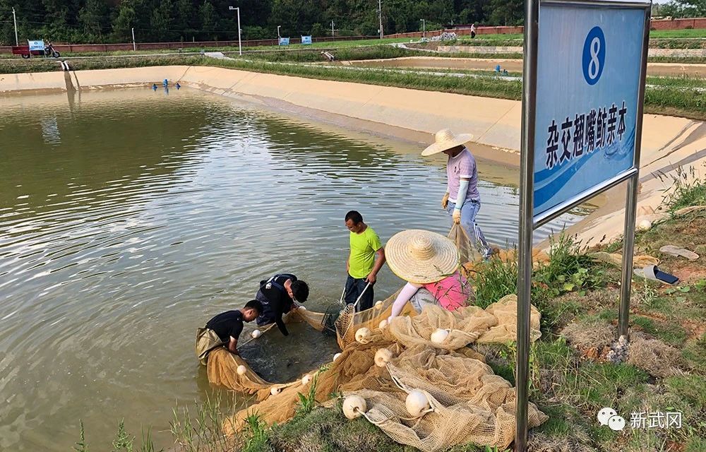 微信图片_20210515001356.jpg 微信图片_20210515001356.jpg