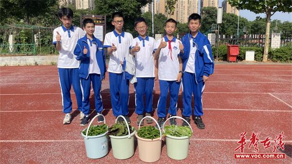 图片 3.jpg 图片 3.jpg