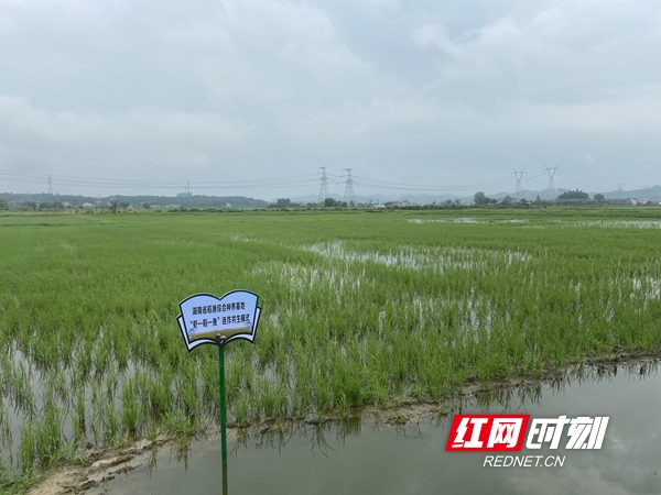 微信图片_20220719164110.jpg 微信图片_20220719164110.jpg